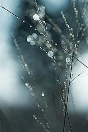 Nigma顶替LGD参加《DOTA2》梦幻联赛S19 ATF转为不活跃